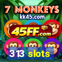 313 slots